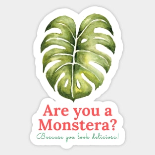 Monstera Deliciosa Sticker